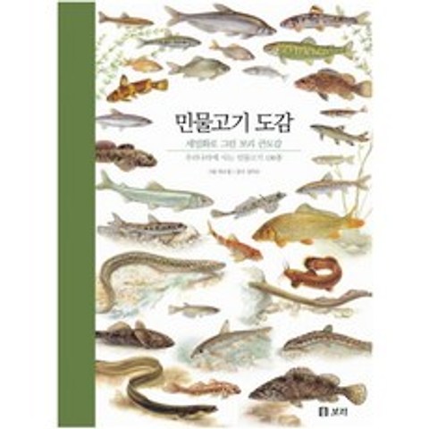 민물고기 도감 : 우리나라에 사는 민물고기 130종 (세밀화로 그린 보리 큰도감) [ 양장 ]