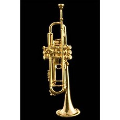 Trumpet Pin - 24k Gold Plated, 상세내용참조, 상세내용참조