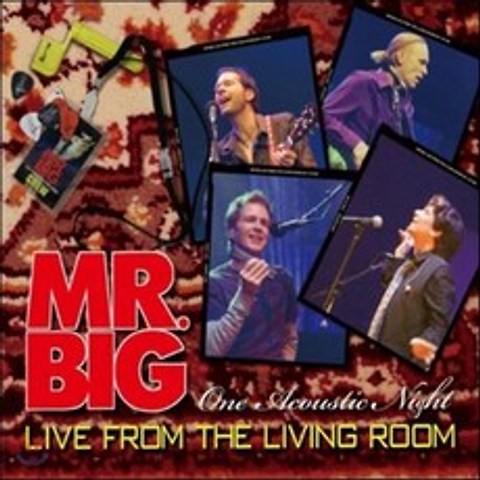Mr. Big - One Acoustic Night