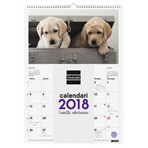 Finocam Puppies Wall Calendar Images Spiral 2018 카탈로니아 어 300 x 430 mm, 단일옵션