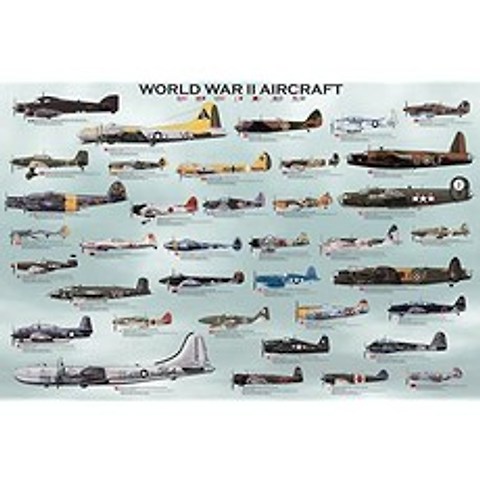 적층 두 번째 세계 대전 군사 항공기 훈련 차트 포스터 인쇄 24x36 (24x36 Laminated Print), 24x36 Laminated Print, 24x36 Laminated Print