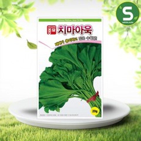 아바나 아욱씨앗 20g 치마아욱 쌈채소 채소씨앗 민속채소, 상세페이지 참조