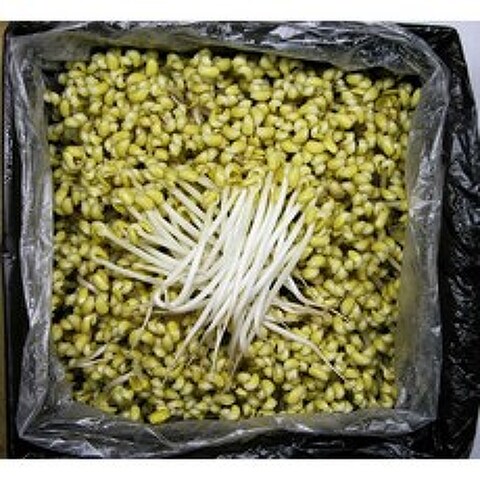 해물찜 삼겹살 아구찜 일자 콩나물 3.5Kg(4Kg내외)