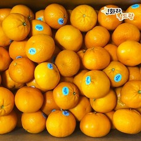[신화랑월드랑] 미국산 만다린 오렌지 감귤, 1box, 만다린 3kg