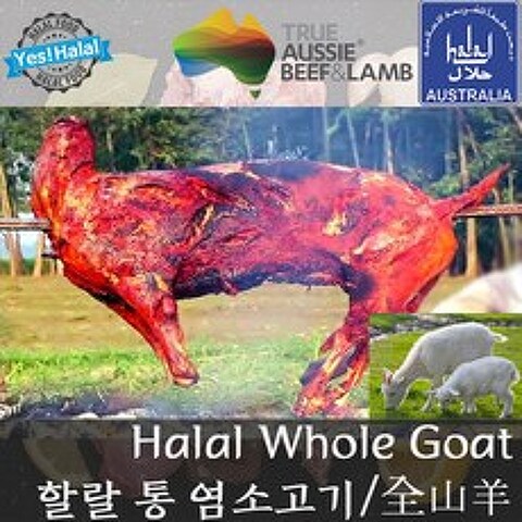 통염소/염소/염소고기/산양/Whole Goat (12Kg~16Kg Halal 할랄), 12Kg~16Kg