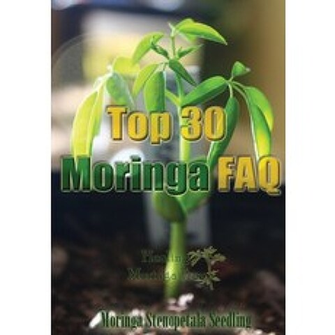 Top 30 Moringa Tree FAQ Paperback, Createspace Independent Pub..., English, 9781508413011