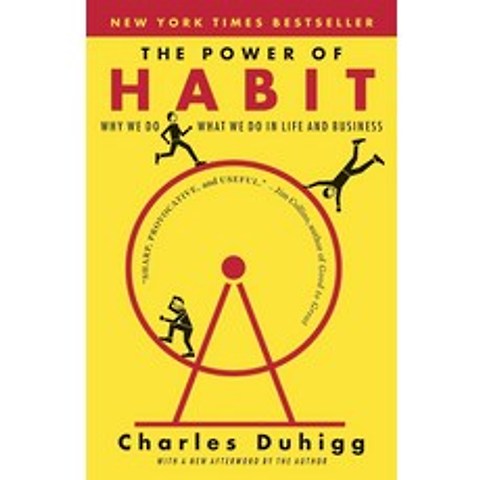 [해외도서] The Power of Habit: Why We Do What We Do in Life and Business, Random House Inc