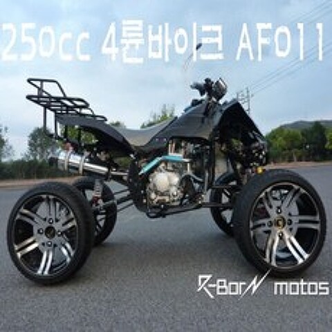 R-BON 4륜바이크 250cc AF012