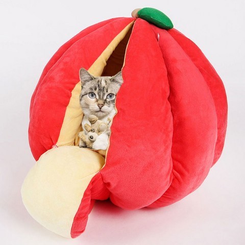 딩동펫 고양이 과일쿠션 숨숨집 하우스, 사과
