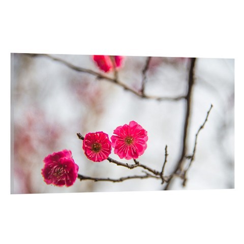 UVDS 주방 아트보드 산딸기를 닮은 꽃, 1개