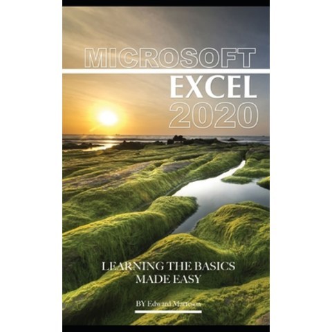 Microsoft Excel 2020: Learning the Basics Made Easy Paperback, Independently Published