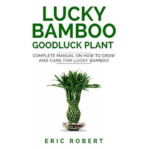 LUCKY BAMBOO GOODLUCK PLANT : 럭키 대나무를 키우고 관리하는 방법에 대한 완전한 매뉴얼, 단일옵션