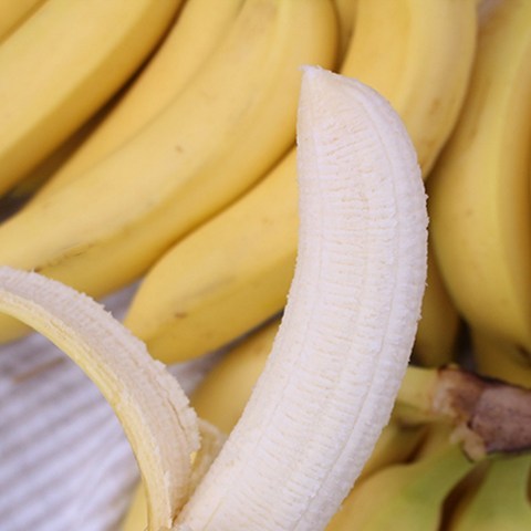 경남 산청 유기농 바나나 1.5kg 2.5kg 국산 바나나 친환경재배 산지직송, 산청 유기농 국산바나나 1.5kg