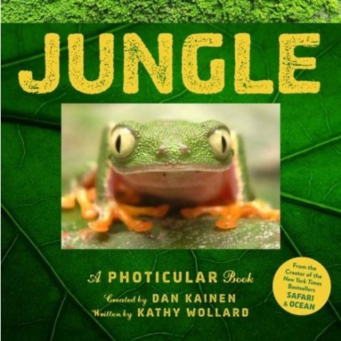 [해외도서] Jungle : A Photicular Book, Workman Publishing