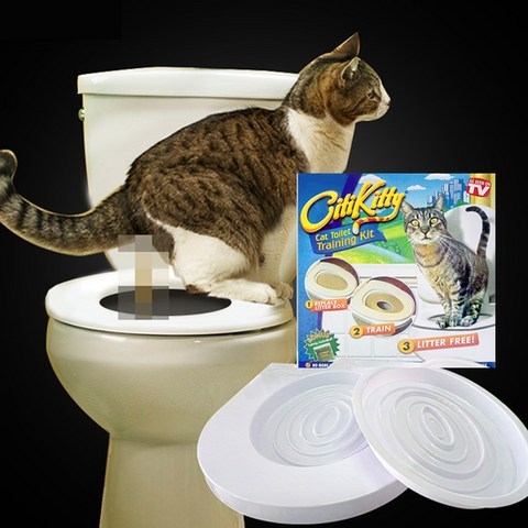 시티키티 citikitty 고양이 배변훈련키트 화장실