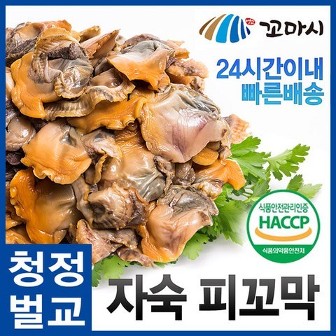 벌교꼬막- 피꼬막500gX2(1kg) 자숙꼬막 진공포장 전남벌교, 단품