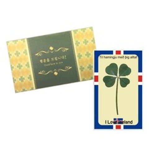 럭키심볼 행운의 네잎클로버 생화 국기 코팅카드 + 봉투 세트, 아이슬란드, 4세트