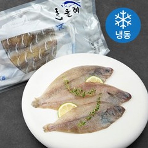 한올레 제주 참가자미 (냉동), 600g, 1팩