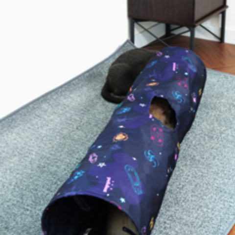 펫디아 혜성특급 고양이 바스락 터널 2구 100cm, 혼합 색상, 1개