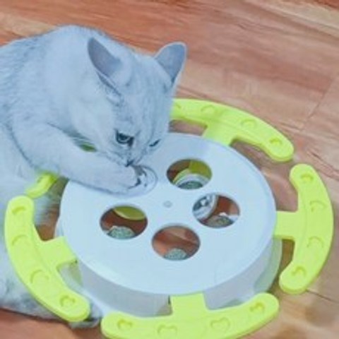 펫츠몬 빙빙빙 캣닢 캣펀치 고양이장난감, 그린, 1개