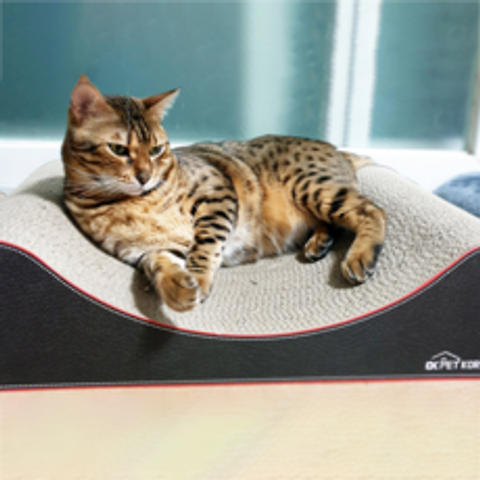 오케이펫코리아 다슬이 고양이 바디필로우 스크래쳐 650 x 350 x 140 mm, 혼합색상, 1개