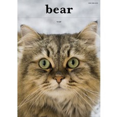 [디자인이음]베어(Bear) Vol. 13: Cat, 디자인이음