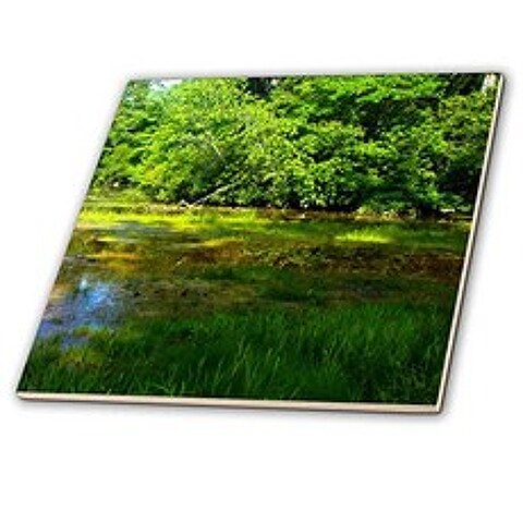 Alyssa Pireson - Waterscape - Image of Wetland - Tile (CT_335502_6), 본상품
