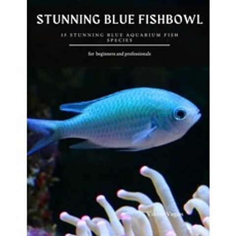 Stunning Blue Fishbowl: 15 Stunning Blue Aquarium Fish Species Paperback, Independently Published, English, 9798731574969