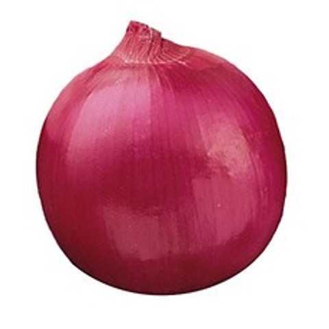 Burpee Red Creole Onion Seeds 300 씨앗, 단일옵션