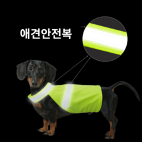 DGM 야간 산책 강아지 안전 빛 반사 조끼 로드킬 방지, 애견안전복S오렌지BL02866