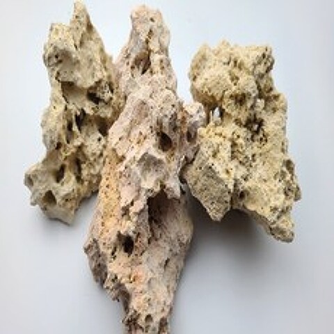 해구석 산호석 1kg 조경석 장식용 어항돌 석부작 수석 어항 레이아웃 어항꾸미기 인테리어