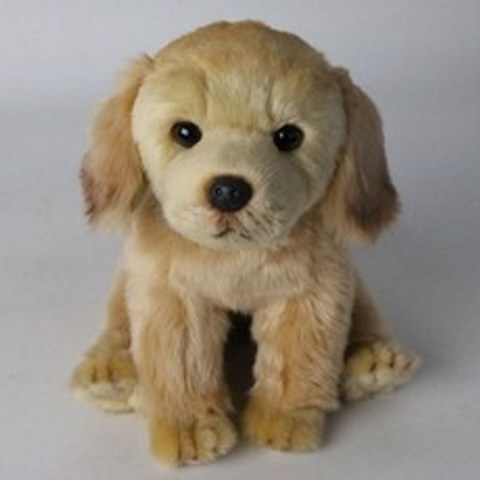 강아지인형 모방 강아지 래브라도 포메라니안 슈나우저 인형 사자 패브릭인형 강아지장식품, T06-래브라도(18x20x26cm), C01-도안참조