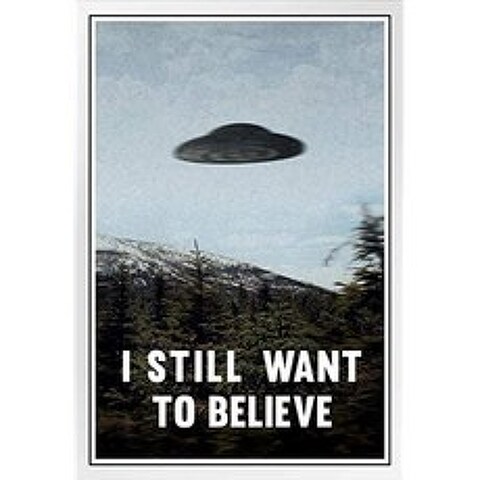 I Still Want to Believe UFO Flying Sau (Still Want to Believe 3552 Framed in White Wood 14x20 in.), 본상품