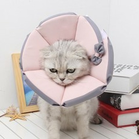 강아지 고양이 넥카라 대형 목걸이 물림 방지 보호 커버, AD_XXL-초대(목주위41-48)