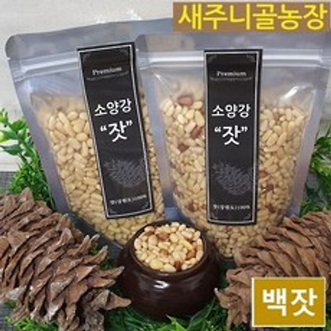 새주니골농장 소양강 햇 잣 200g 백잣, 1개