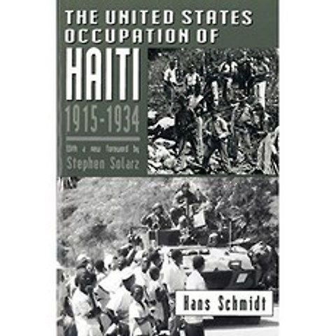 미국의 아이티 점령 1915-1934, 단일옵션