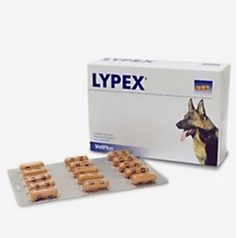 포베츠 라이펙스(LYPEX) 강아지 고양이 췌장효소 보충제 60캡슐