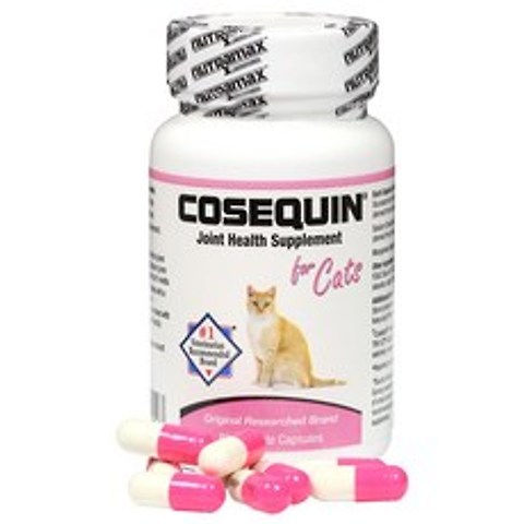 코세퀸 고양이 관절 영양제 80정 칼슘/관절영양제