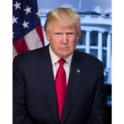 도널드 트럼프 사진 - 2016 년의 역사적인 삽화 - 미국 대통령 초상화 - (8.5 x 11) - 매트 (8.5