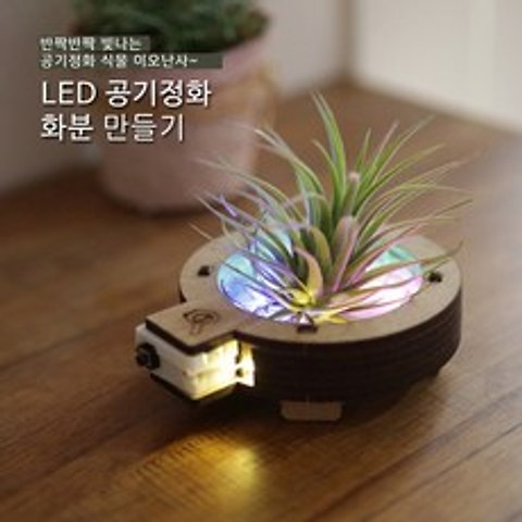 사이언스타임 LED 공기정화 화분 만들기