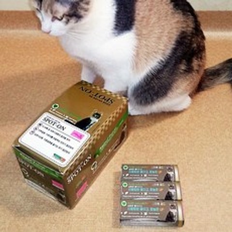 프랑스 필루 고양이진드기 모기 벼룩 천연 해충방지 스팟온 약1ml 고양이 팬시 문구 사은품 증정, 1개, 1ml