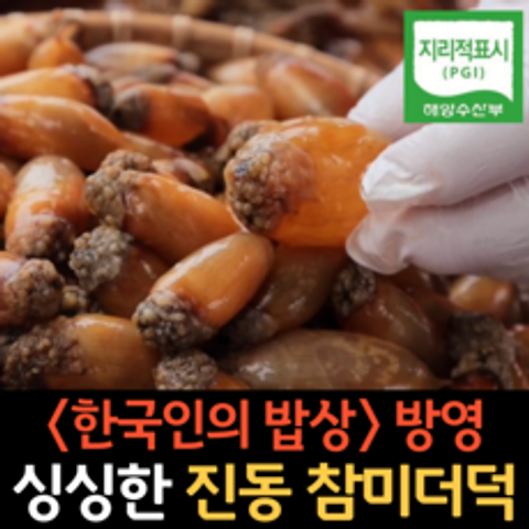 당일채취 회로도 먹는 싱싱한 창원마산 진동 미더덕 오만둥이, 참미더덕 1kg