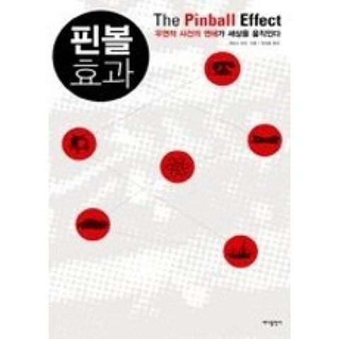 [개똥이네][중고-상] 핀볼 효과 - 우연적 사건의 연쇄가 세상을 움직인다