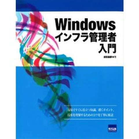 Windows 인프라 관리자 소개, 단일옵션