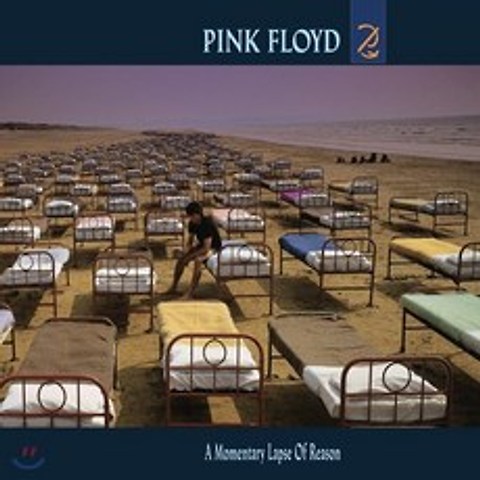 Pink Floyd (핑크 플로이드) - A Momentary Lapse of Reason
