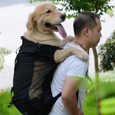 큰 개를위한 애완견 개 캐리어 가방 야외 배낭 조정 가능한 큰 개 여행 가방 운반 가방 애완 동물 용품|강아지 캐리어|, 1개, Blue, M