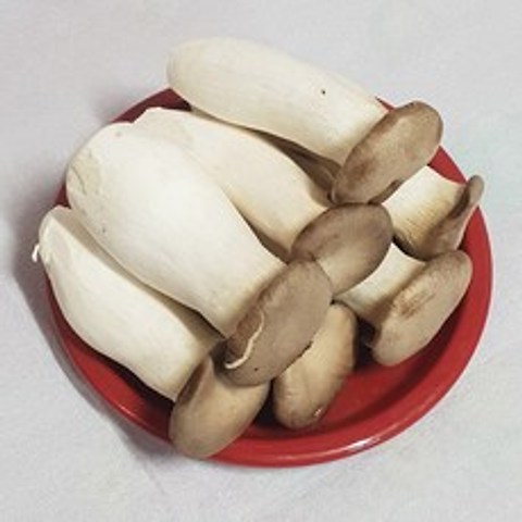 백산상회 새송이 버섯, 1박스, 2kg