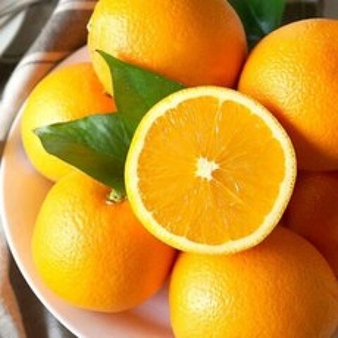 FUNET 네이블 오렌지, 1박스, 46_오렌지 중소과 10과