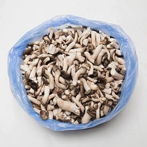 [프레시팜] 버섯류 느타리 버섯 파지 상품 2kg