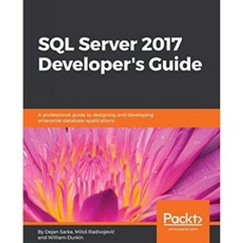 SQL Server 2017 개발자 가이드 : 엔터프라이즈 데이터베이스 애플리케이션 설계 및 개발에 대한 전문 가, 단일옵션